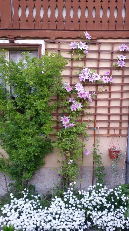 Guest House Bashtina Striaha Koprivshtitsa Exterior photo